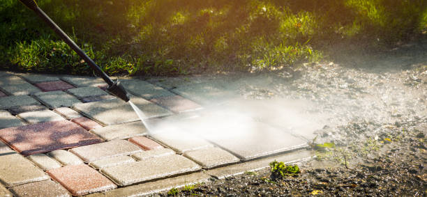 Best House Exterior Washing  in Citronelle, AL
